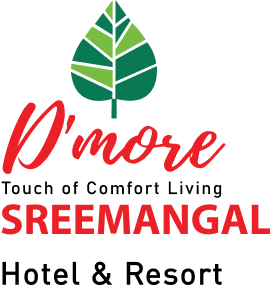 D'more Sreemangal Hotel & Resort